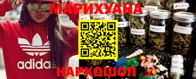 гашик Новозыбков