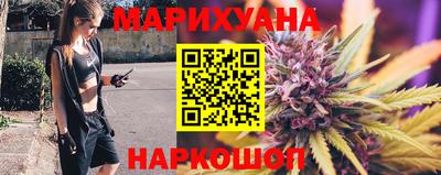 гашик Новозыбков