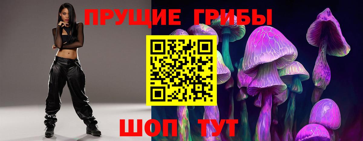 Тимашёвск  закладки  Вход с VPN  Псилоцибиновые грибы прущие грибы 